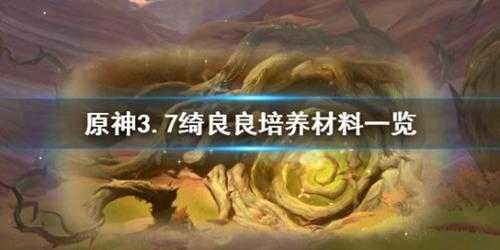 《原神》3.7绮良良培养材料一览 绮良良培养需要哪些材料？