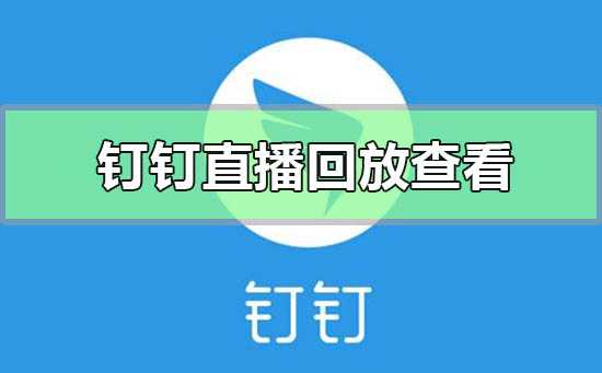 钉钉直播回放在哪里怎么看？钉钉手机直播回放查看方法